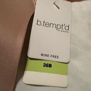 B. Tempt’d pink Lace Trim T-Shirt Bra Molded Cup